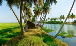 premium houseboats in alleppey